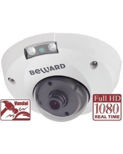 NK55630D8. IP-камера купольная. Beward в Туле