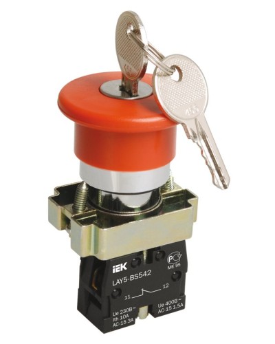 Кнопка LAY5-BS142 Грибок с ключом D22мм (BBG50-LAY5-K04). Кнопка. IEK в Туле