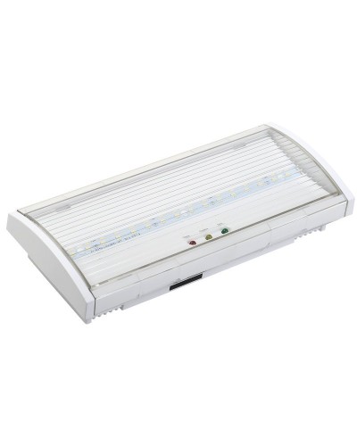 Светильник аварийный ДПА 5043-3 10-24/220В 3ч IP54 LIGHTING (LDPA1-5040-3-54-K01). Светильник аварийный постоянного действия. IEK в Туле