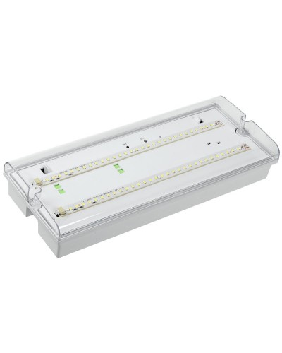Светильник аварийный ДПА 5042-3 3ч IP65 LIGHTING (LDPA0-5042-3-65-K01). Светильник аварийный универсальный. IEK в Туле