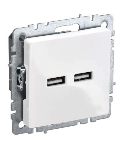 Розетка USB A+A 3,1А РЮ10-1-БрБ белый BRITE (BR-U21-D31-K01). Розетка USB. IEK в Туле