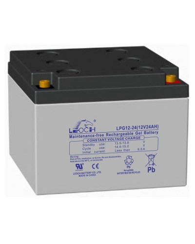 LEOCH LPG 12-24. Аккумулятор герметичный свинцово-кислотный. LEOCH в Туле