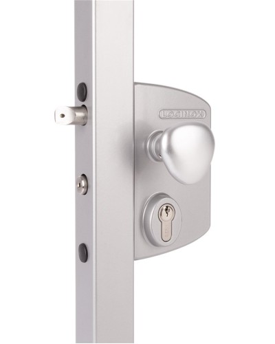 LIKQ4040 U2L (цвет: RAL 9005, черный). Замок электромеханический для калиток. Locinox в Туле