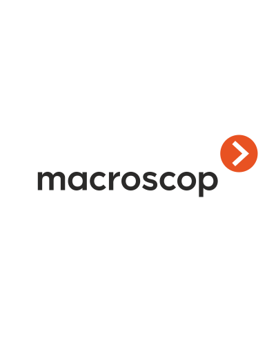 Расширение с LS до ST. Программное обеспечение (опция). MACROSCOP в Туле