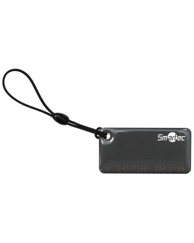 ST-PT015MF-GR. Брелок. Smartec в Туле