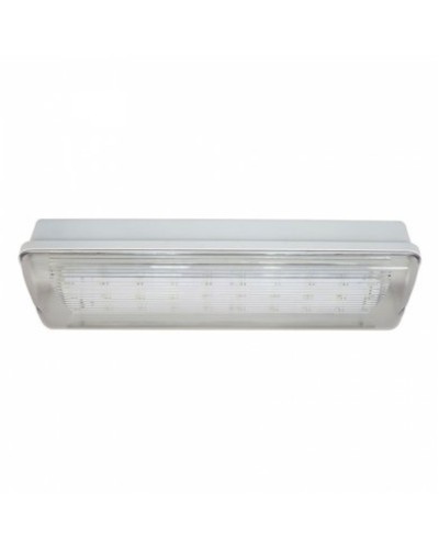 SL-223-30LED1.8 исп.1 IP54. Светильник аварийного освещения. ИП Раченков А.В. в Туле