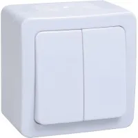 Выключатель 2-клавишный ВС20-2-0-ГПБ открытой установки IP54 белый ГЕРМЕС PLUS (EVMP20-K01-10-54-EC). Выключатель. IEK